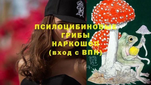 дживик Баксан