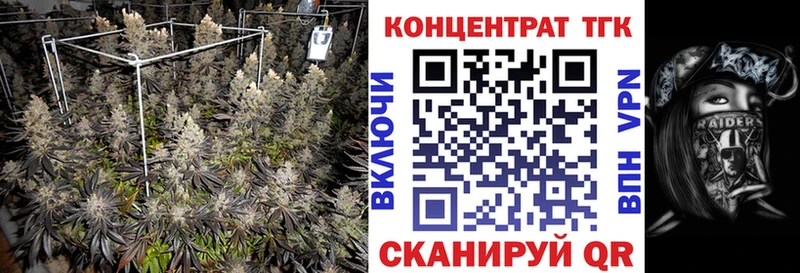 купить наркоту  Белово  ТГК гашишное масло 